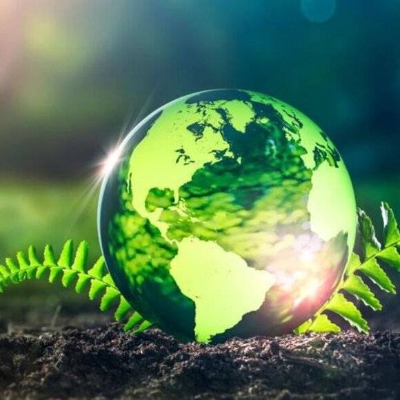 Live show Listing - Picture 3 of 11